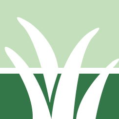 Weed Control Service