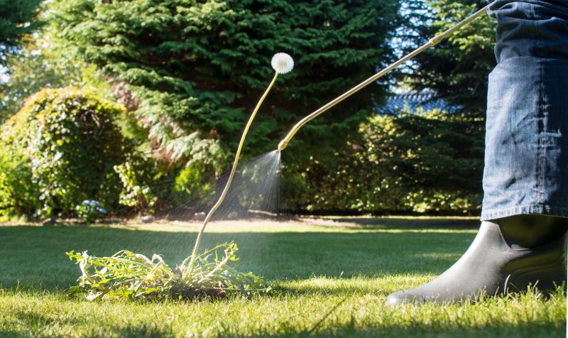 Slope Weed Control in Ventura County, CA