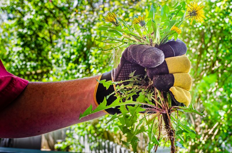 Cost of Weed Control — Cost of Weed Control