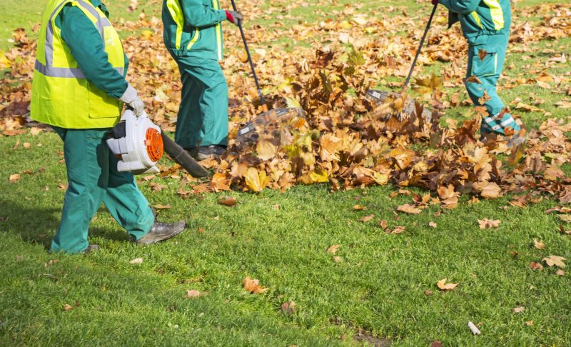 Leaves Being Cleared by Professionals