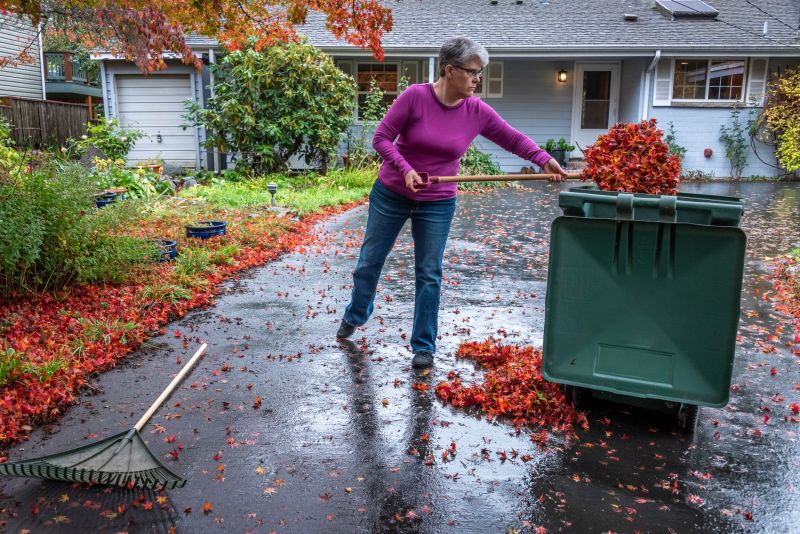 Lawn with Fallen Leaves Before Cleanup