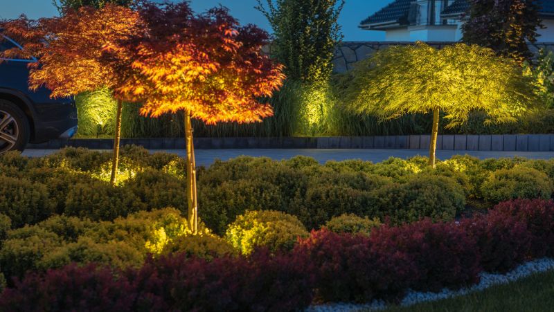 Landscape Lighting Installation in Olathe, KS