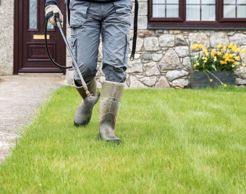 Lawn Disease Treatment in Ventura County, CA