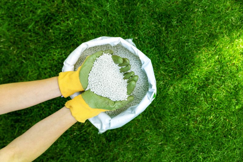 Lawn Fertilizing Service in Honolulu, HI