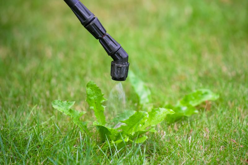 Lawn Weed Control in Honolulu, HI