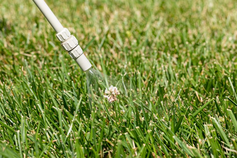 Pampas Grass Control in Rockwall, TX