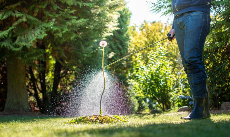 Thistle Control in Rockwall, TX