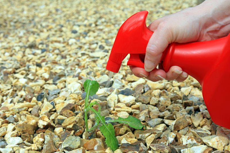 Thistle Treatment in Ventura County, CA