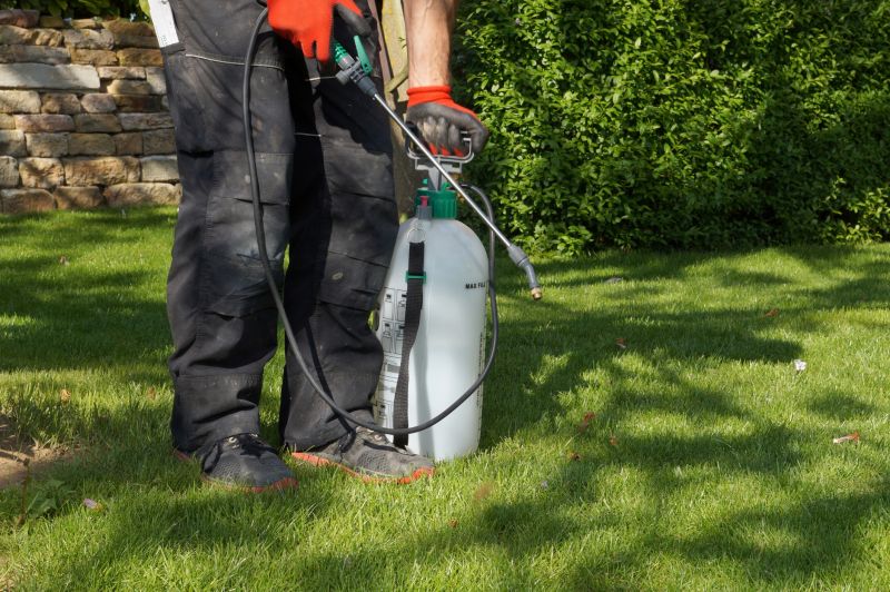 Lawn Care and Weed Prevention