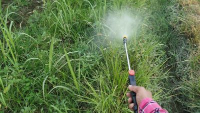 Weed Control